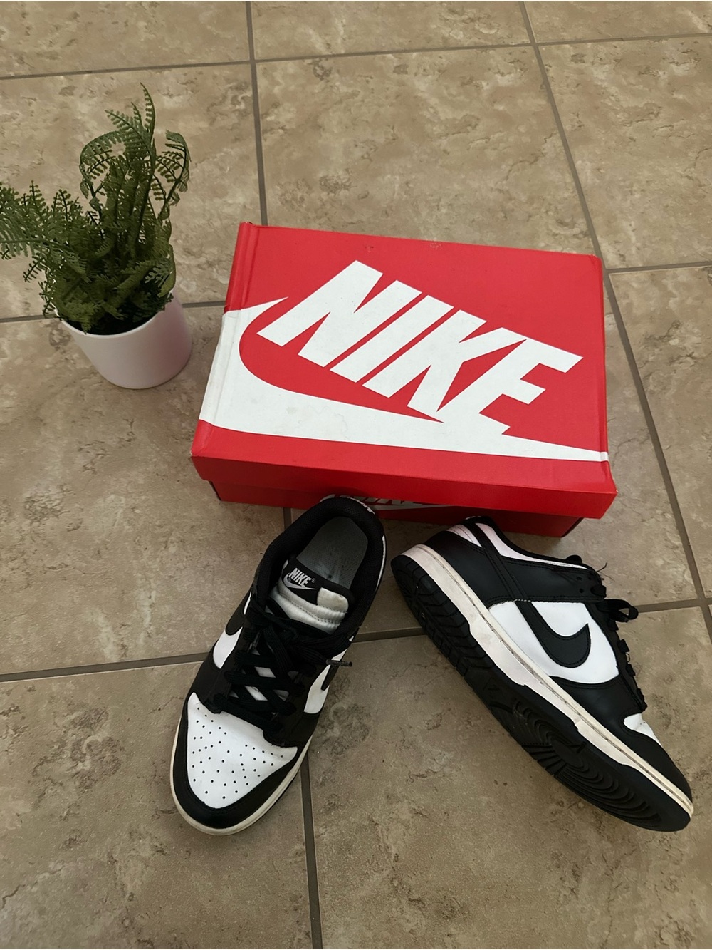 BLACK NIKE DUNK LOWS